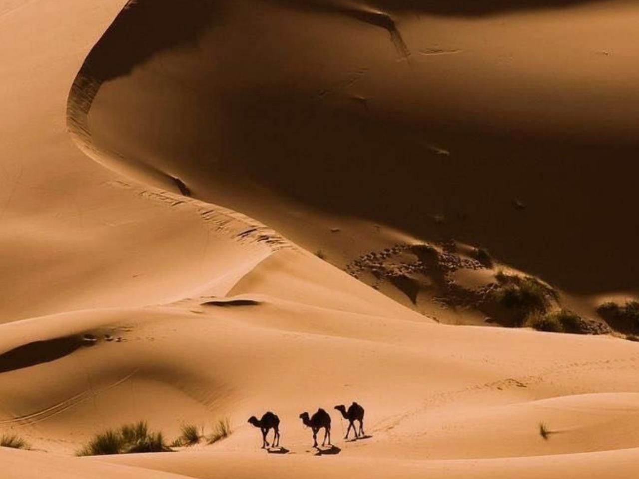 Amazing Luxury Camp Merzouga Exterior foto